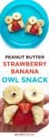 graham cracker snacks decorated to look like owls with text title overlay