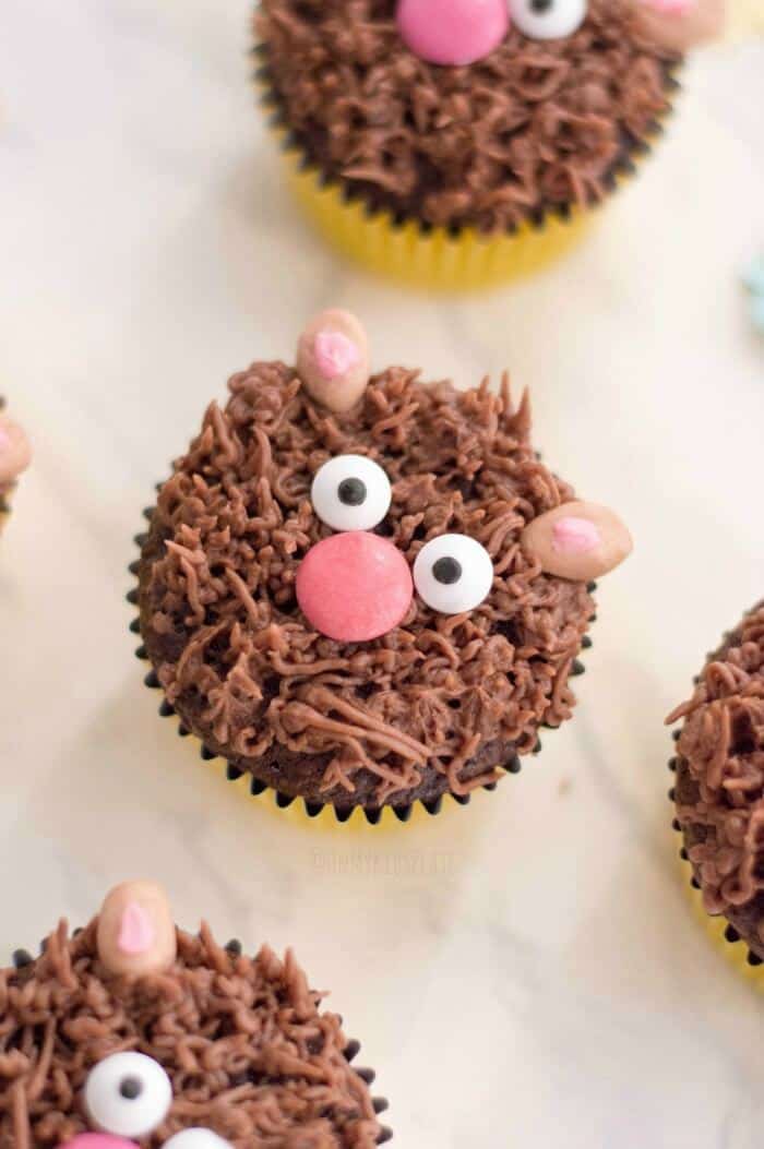 OVerhead of a cupcake made to look like a bear face