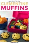 A lunchbox full of food next to a muffin tin full of muffins and a bowl of oranges with text title overlay