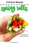 The inside of a spring roll being held by a hand with tet title overlay