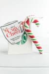 A mug shaped gift tag with w reindeer attached to a Starbucks gift card with a candy cane ornament attached.