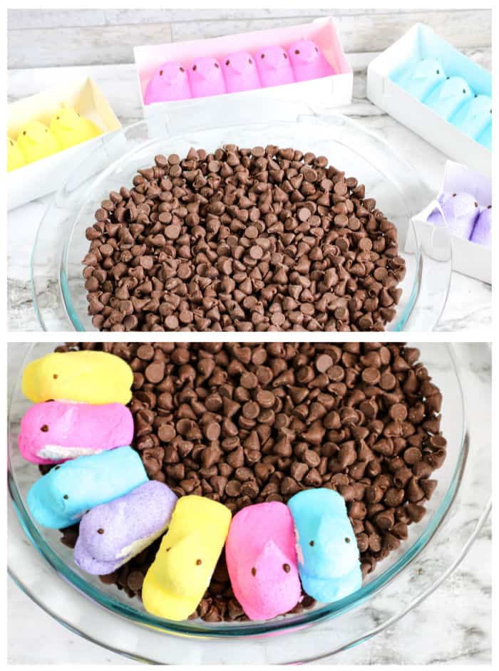 A glass dish being filled with chocolate chips and peeps marshmallows then layered on top