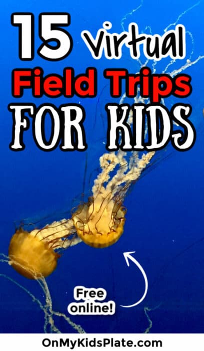 15 Amazing Virtual Field Trips Online For Kids - On My Kids Plate