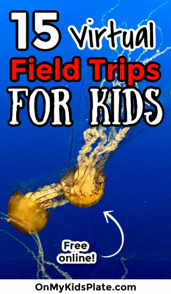 Three glowing jellyfish swim through bright blue water. A title text overlay reads 15 virtual field trips for kids.