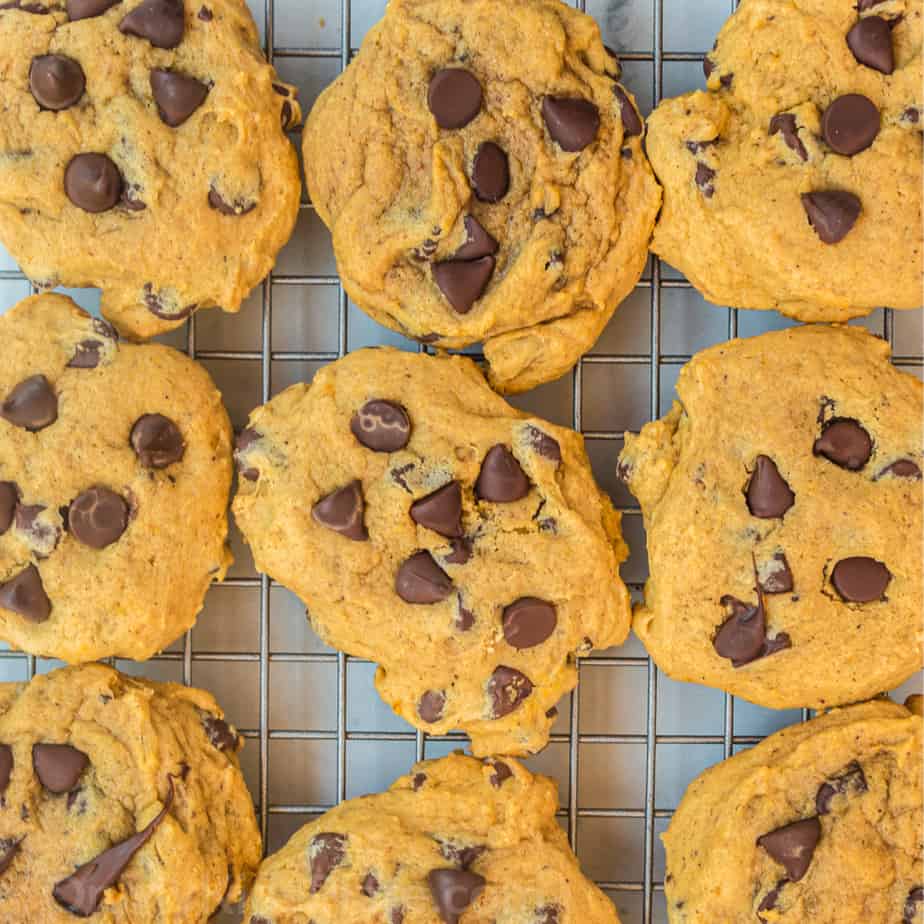 pumpkin chocolate chip cookies from overhead on a metal cooling rack