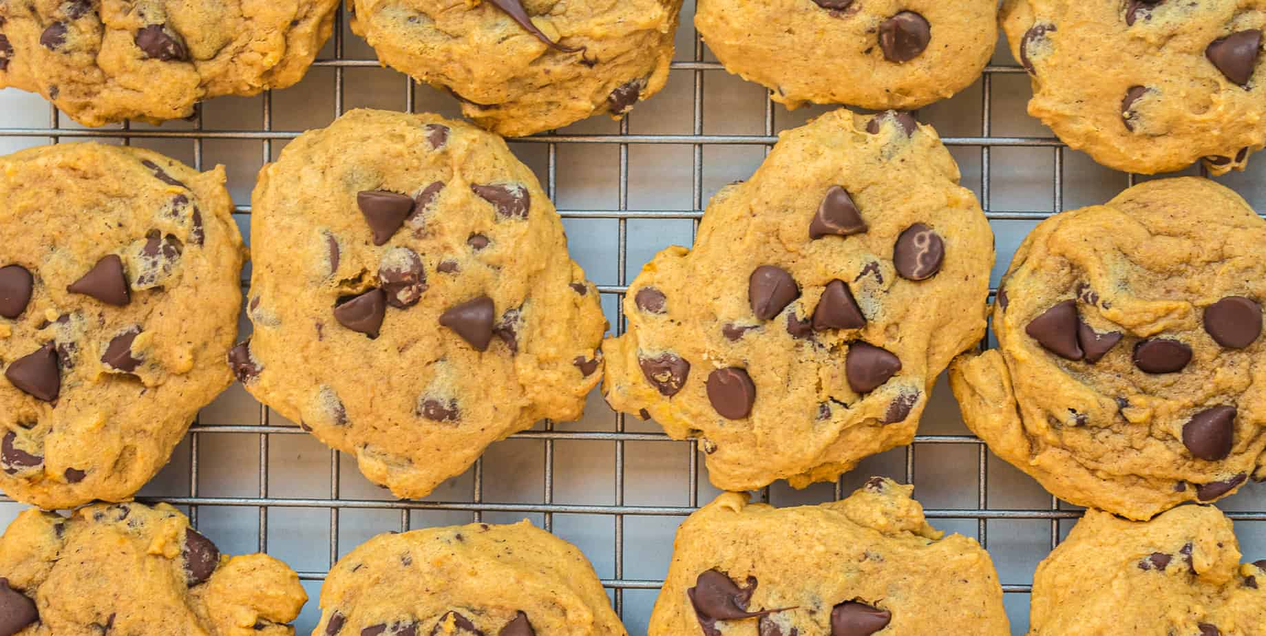 Pumpkin chocolate chip cookies on a rack up close