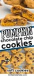 Pumpkin chocolate chip cookie close up bite view and cooling on a rack with a title text overlay