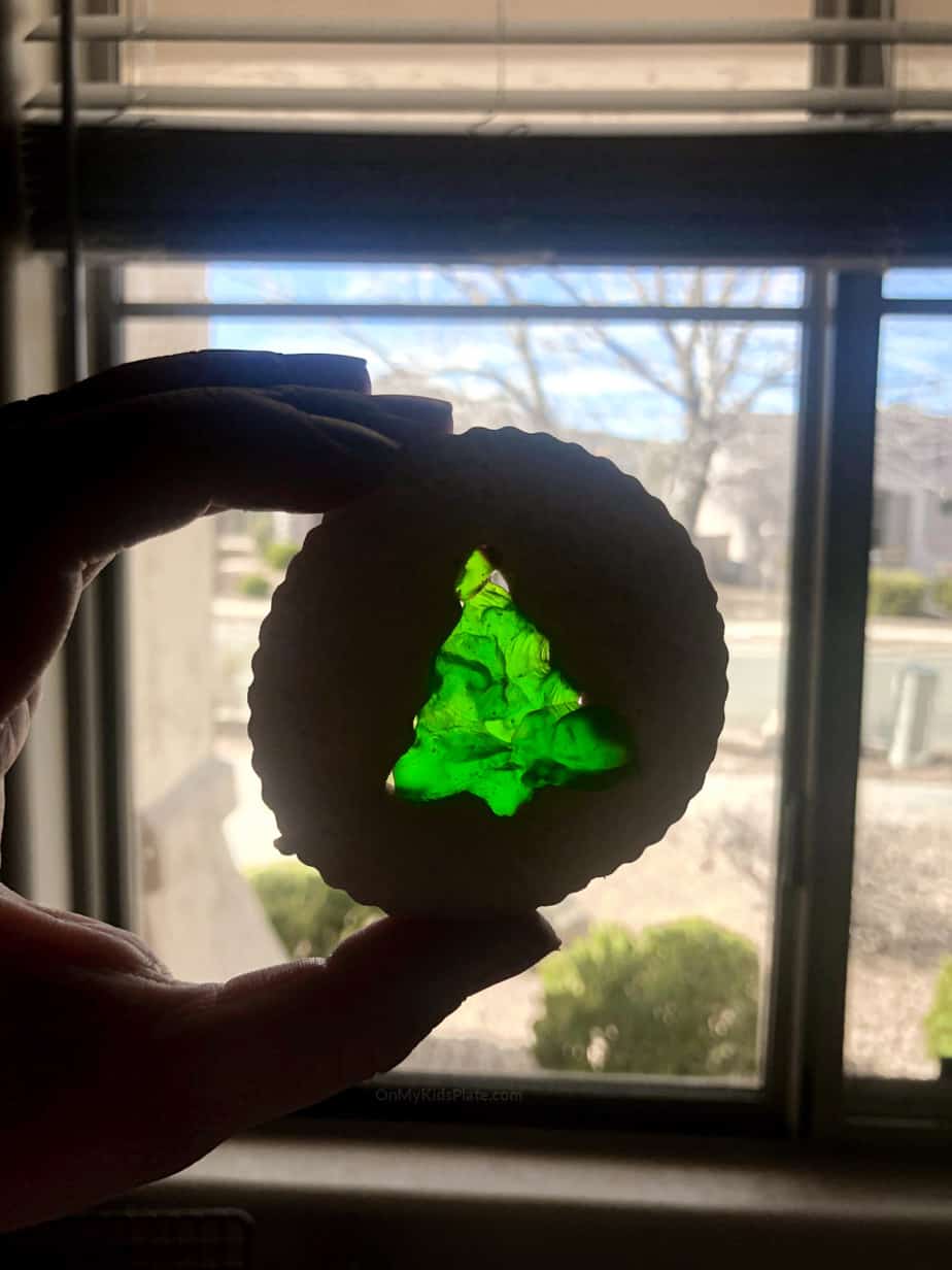 Light from a window shines through the tree in the center of this sugar cookie.