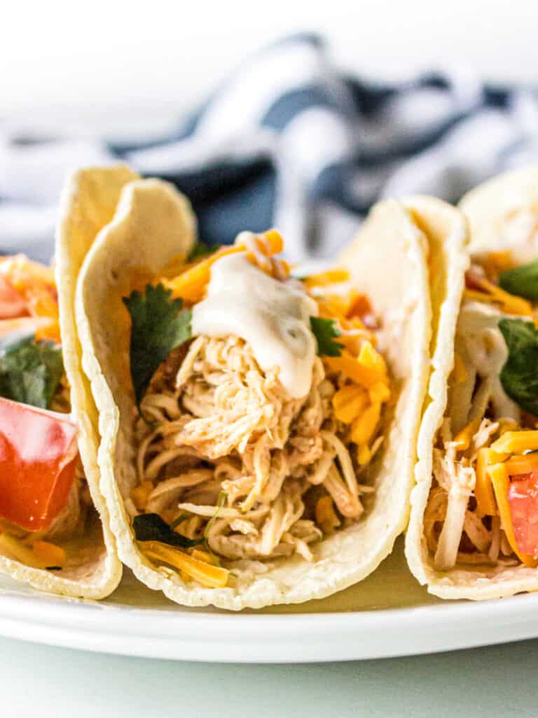 Up close side vide of a chicken taco with cheese and sour cream