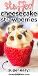 Close up of strawberry stuffed with cheesecake and topped with chocolate chips with text title overlay