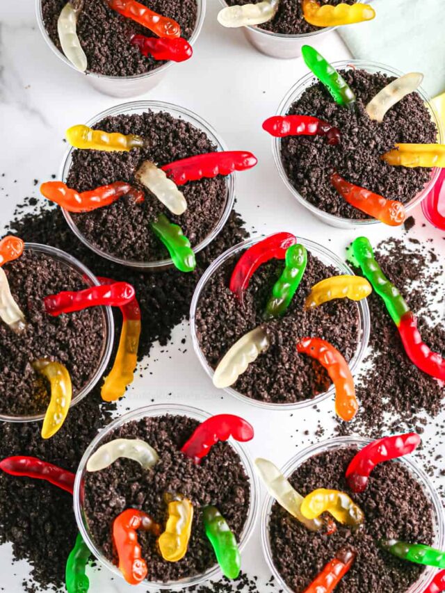 cropped-Dirt-Pie-Cups-Overhead.jpg