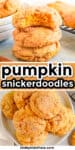 Pumpkin snickerdoodles stacked with a bite and cookies on a plate with text title overlay in the middle.