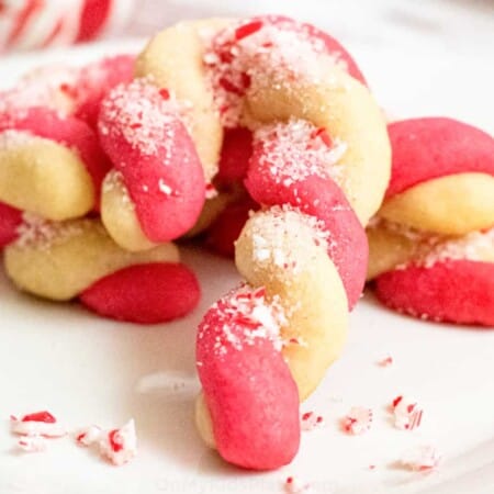 Close up of red and white candy cane style cookie covered in peppermint pieces