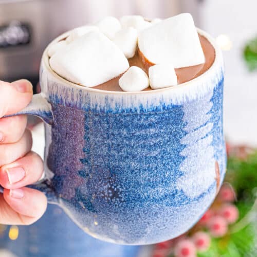 https://onmykidsplate.com/wp-content/uploads/2021/11/Hot-Chocolate-hand-holding-mug-500x500.jpg