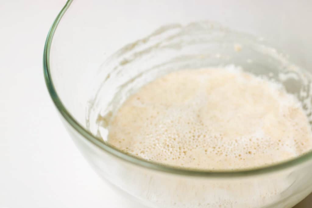 yeast after proofing with bubbles on top from the side