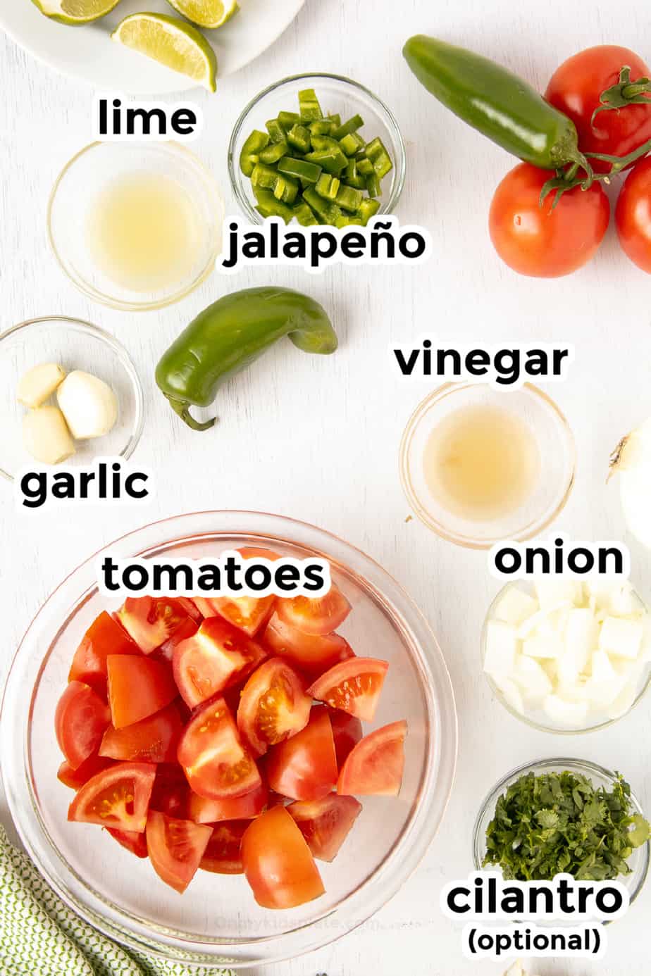 Ingredients for blender salsa including tomatoes, jalapeño, onion, lime, vinegar, onion and garlic in bowls with text labels from above
