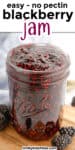 side view of blackberry jam in a glass jar open on top with title text overlay on top