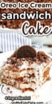 Tall close up image of a slice of ice cream cake with a bite missing and an Oreo on top. Title text overlay is on top of the image.