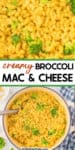 Close up on mac and cheese with broccoli stacked on top of a pot from overhead full of mac and cheese. Title text overlay between the two images.