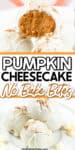 Two images of round pumpkin cheesecake bites one showing a bite inside the white chocolate to the pumpkin, the other showing stacked cheesecake bites. Title text overlay is between the images.