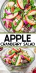 Apple cranberry salad from overhead and the side in a large glass bowl with title text overlay in the middle.