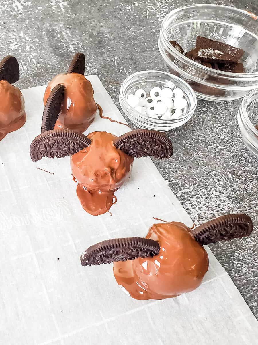 Chocolate oreo truffles with cookie bat wings from the side on a counter with bowls of candy eyes and decorations nearby.