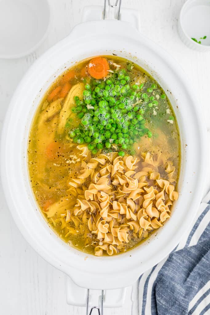 Grandma's Slow Cooker Chicken Noodle Soup - On My Kids Plate