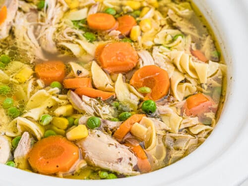 https://onmykidsplate.com/wp-content/uploads/2022/09/Slow-cooker-chicken-noodle-soup-square-500x375.jpg