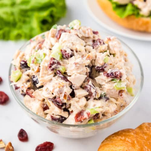 Cranberry Pecan Chicken Salad - On My Kids Plate