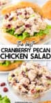 Close up of cranberry pecan chicken salad piled on an open croissant on top of a second image of chicken salad in a bowl piled high from the side with title text overlay between the images.