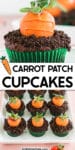 Close up of a carrot patch cupcake from the side and on a platter from above with title text overlay in between.