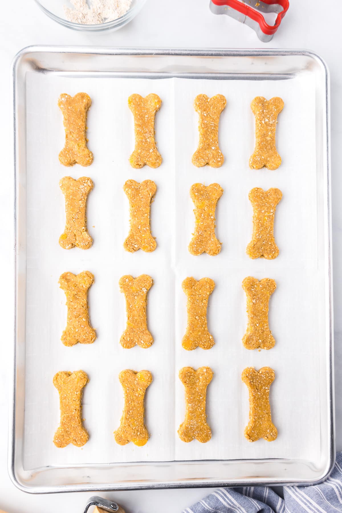 Peanut butter dog cookies shaped like bones on a baking sheet from overhead lined with parchment paper.