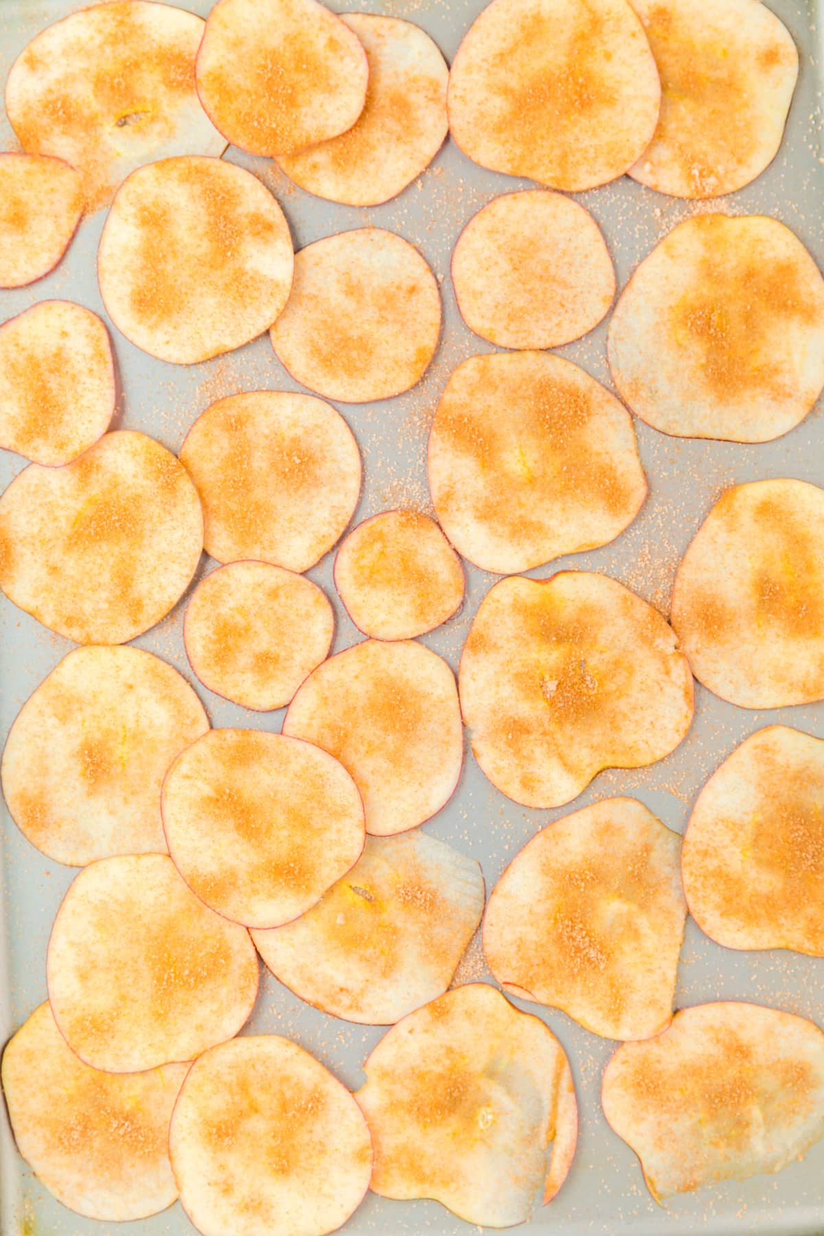 Thin apple slices covered in cinnamon sugar from above spread out.
