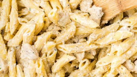 Chicken alfredo penne pasta discount
