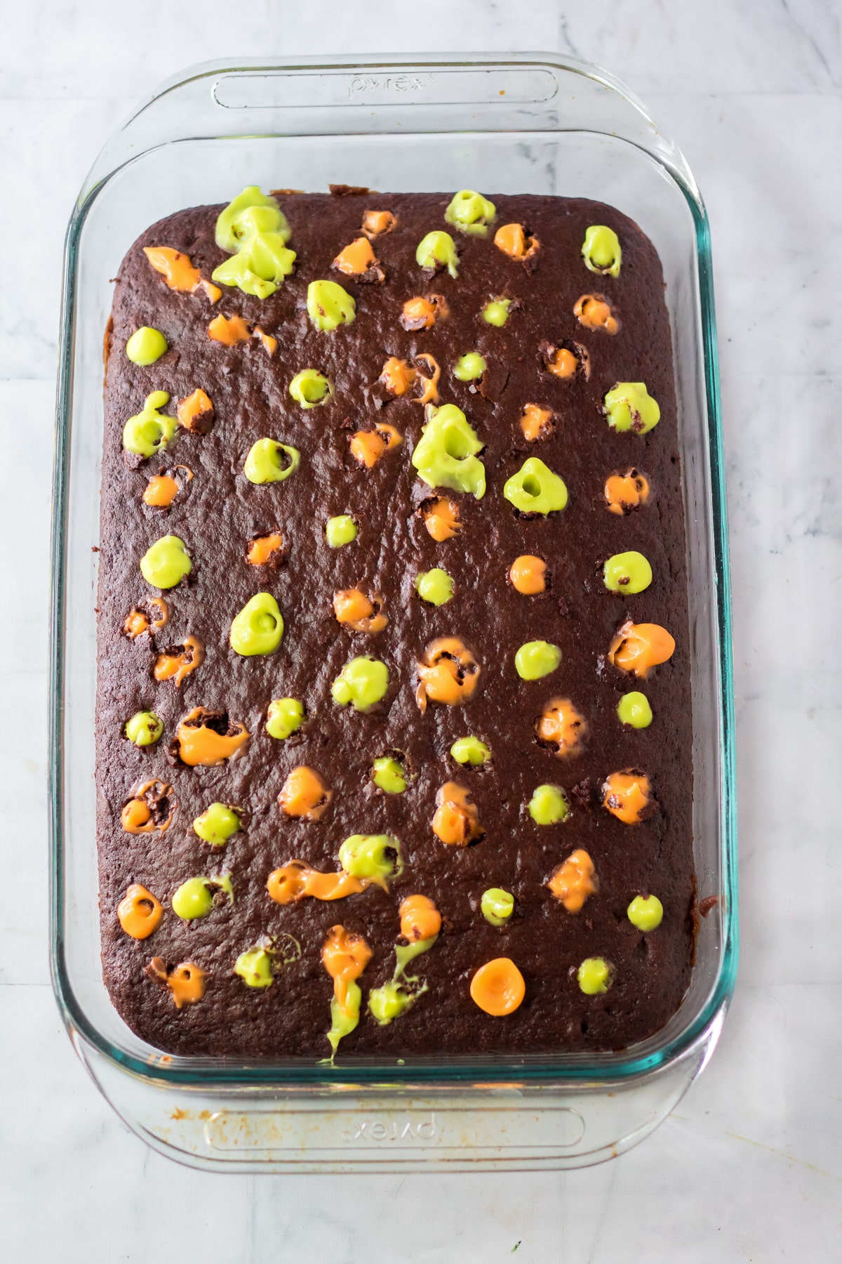 Chocolate cake in a glass pan with holes filled with green and orange pudding from above.