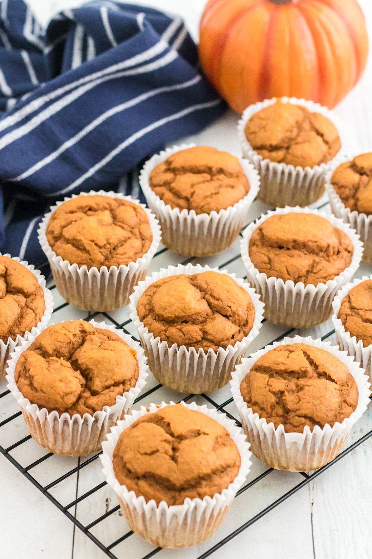 Pumpkin muffins in paper liners on a cooling rack next to a pumpkin.