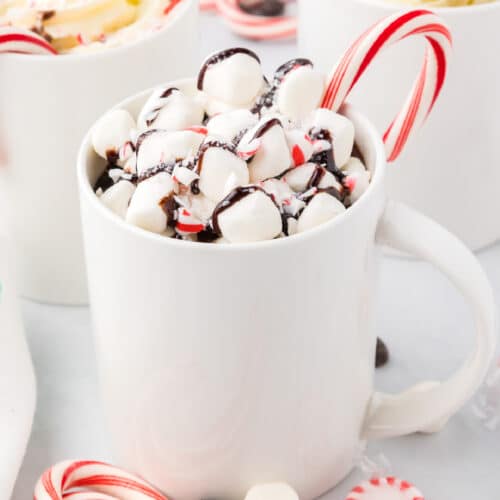Candy Cane Hot Cocoa Pops