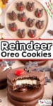 Decorated chocolate dipped Reindeer oreo cookies on a plate on top of two stacked cookies with one missing a bite, and title text in between the images.