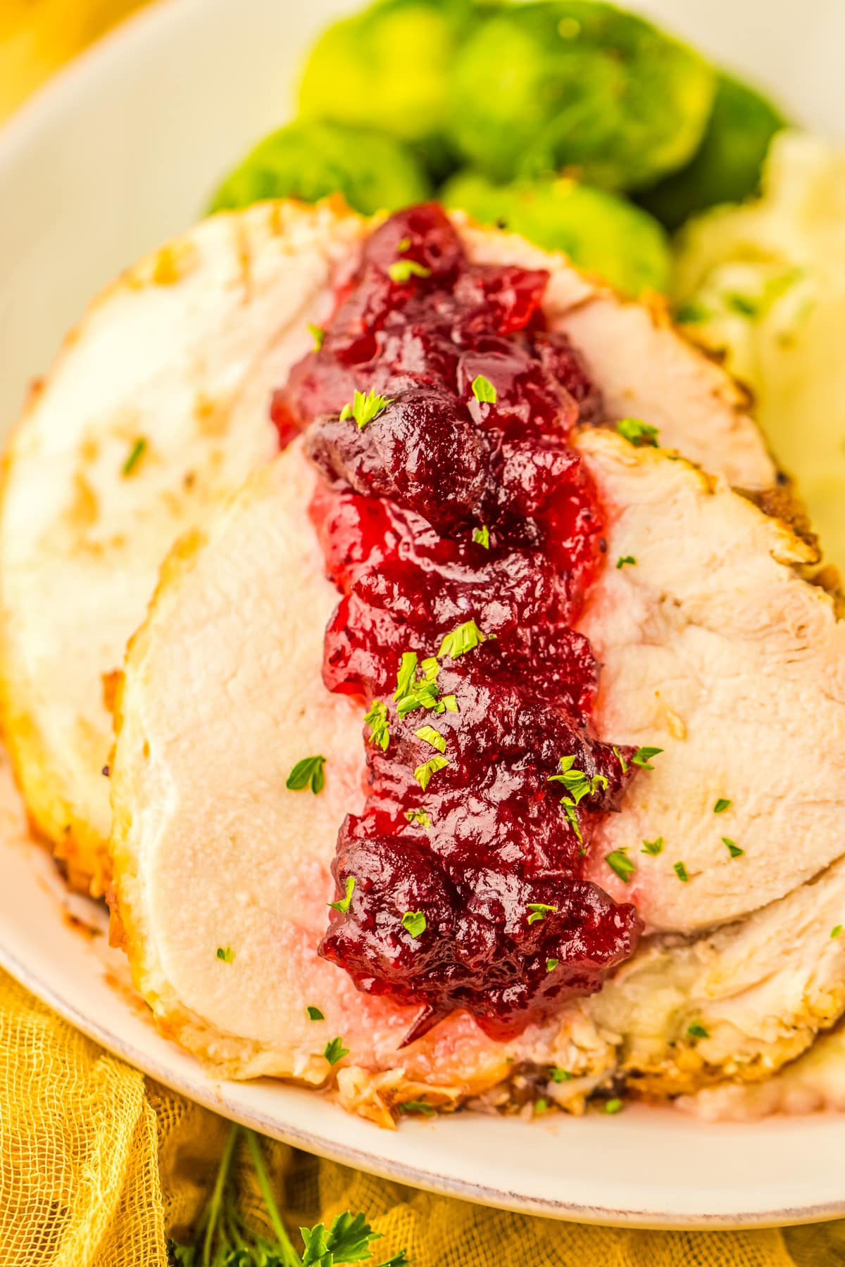 sliced turkey with cranberry sauce on a platter.
