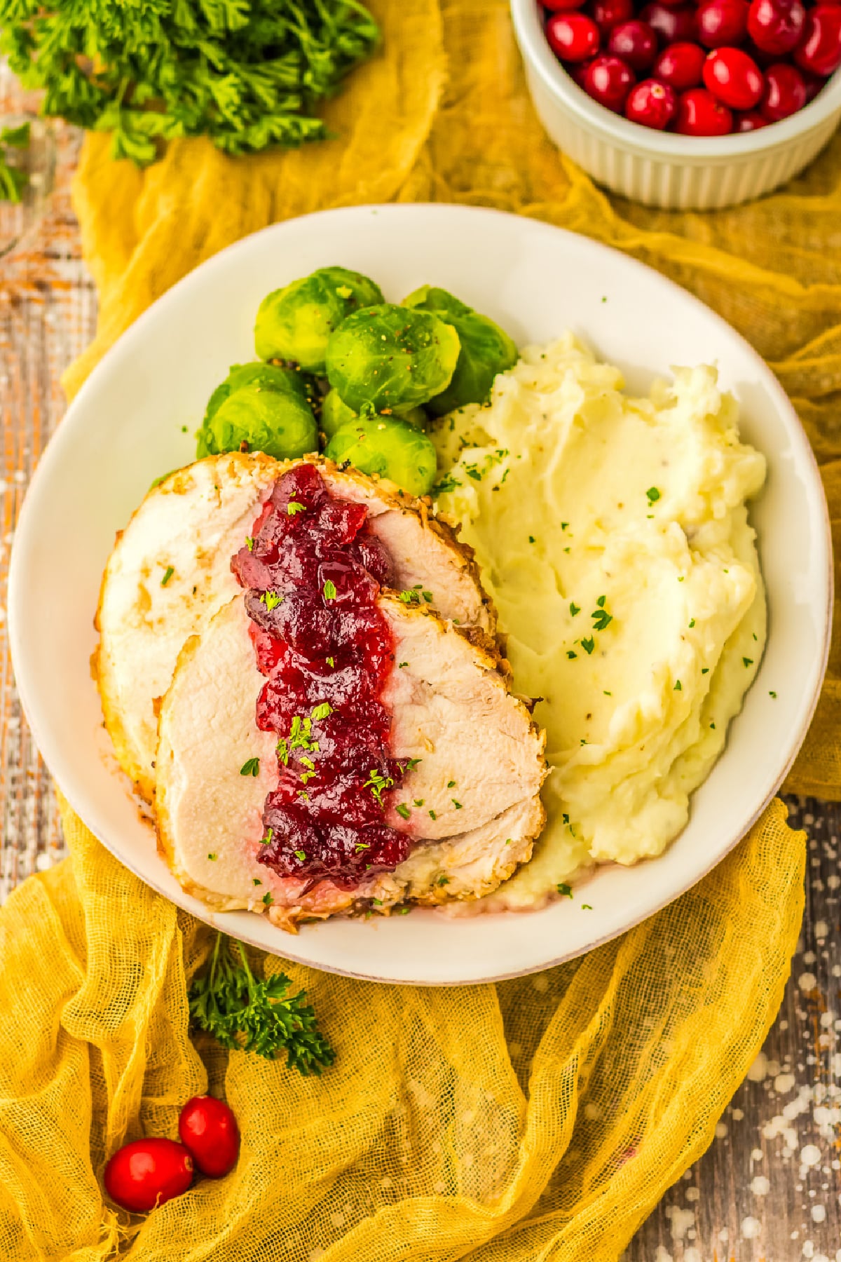 A plate of turkey with cranberry sauce and mashed potatoes from above.