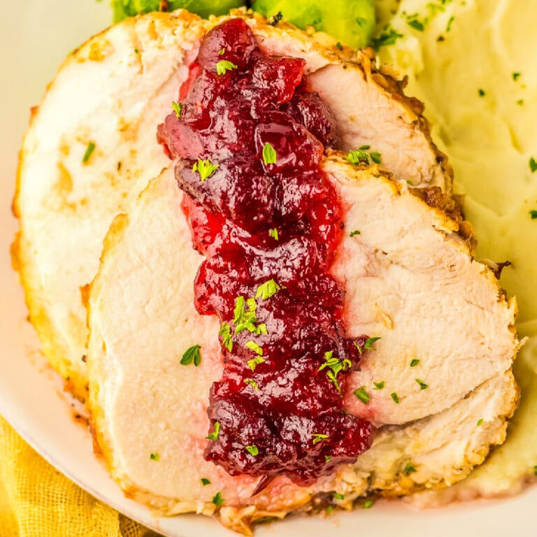 Sliced turkey with cranberry sauce and mashed potatoes close up.