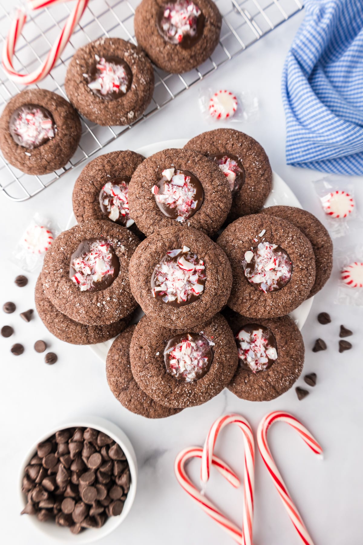 Chocolate peppermint cookies on a white plate with candy canes, other peppermint and chocolate chips nearby on the table.