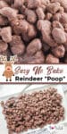 Tall view of chocolate reindeer poop close up and on a platter with a spoon with title text between the two photos.