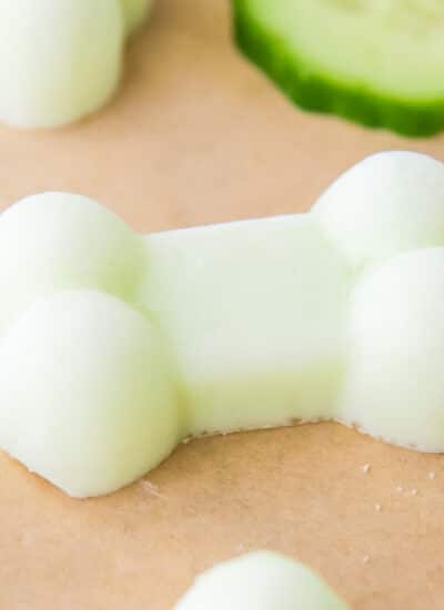 Close-up of a bone-shaped yogurt cucumber treat for dogs.