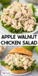 Apple walnut chicken salad on a bed of lettuce and on a croissant sandwich with title text overlay.