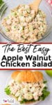 Apple walnut chicken salad in a bowl being scooped and on a croissant as a sandwich with title text between the images.