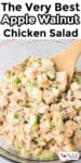 Apple walnut chicken salad in a bowl being scooped with a spoon with title text overlay.