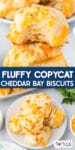 Plate of fluffy copycat Cheddar Bay biscuits with cheese and herbs, stacked on a plate. A biscuit with a bite taken is on top. Text overlay reads "Fluffy Copycat Cheddar Bay Biscuits.
