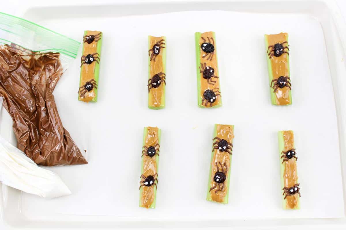 Celery sticks with peanut butter and raisin "spider" arranged on a tray, with piping bags filled with chocolate and white chocolate adding eyes and legs to the raisins.