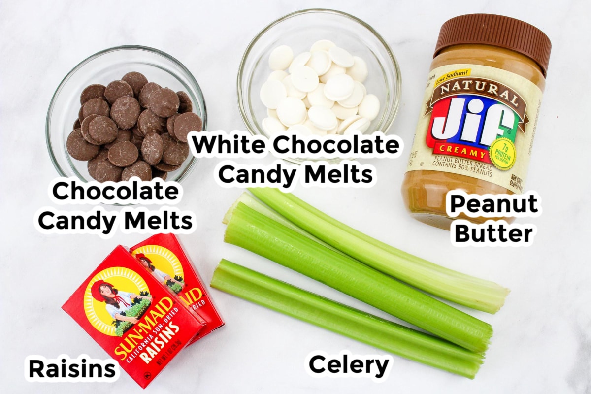 An arrangement of ingredients: chocolate candy melts, white chocolate candy melts, peanut butter jar, celery stalks, and boxes of raisins.